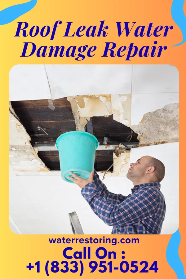Roof Leak Water Damage Repair in Mooringsport, LA