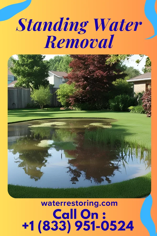 Standing Water Removal in Mooringsport, LA